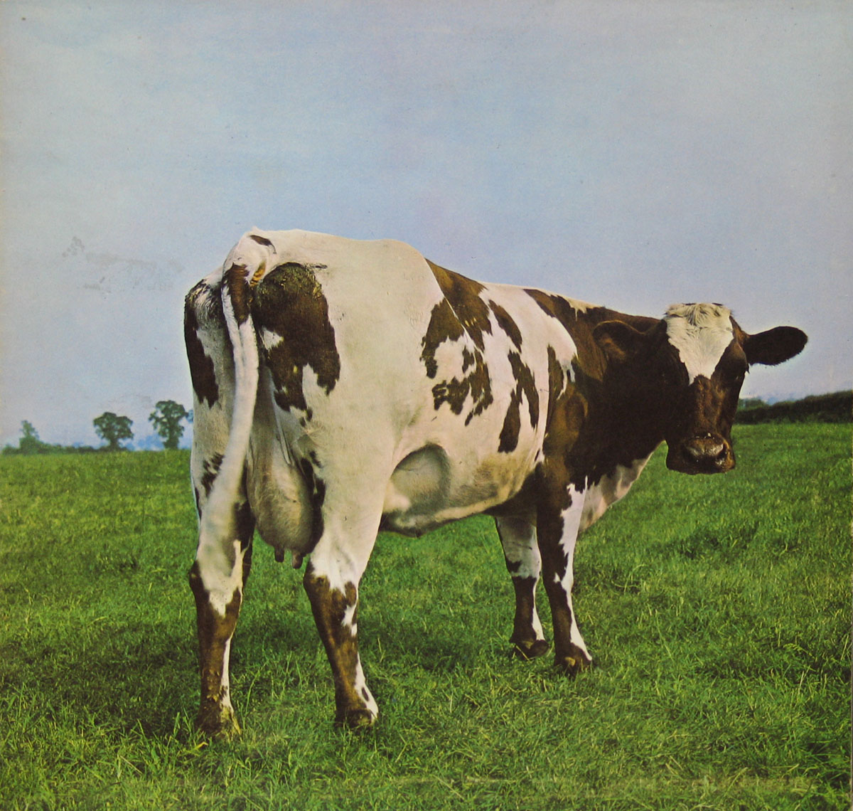 High Resolution Photo #1 Pink Floyd Atom Heart Mother UK  
